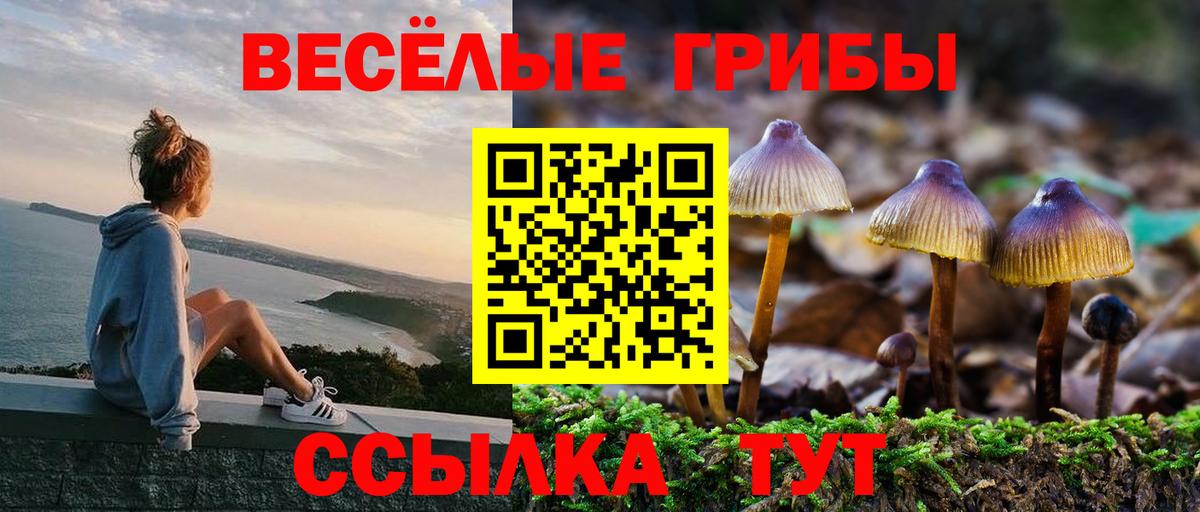Псилоцибиновые грибы прущие грибы  Вход с VPN  Галлюциногенные грибы Magic Shrooms  Лесной 